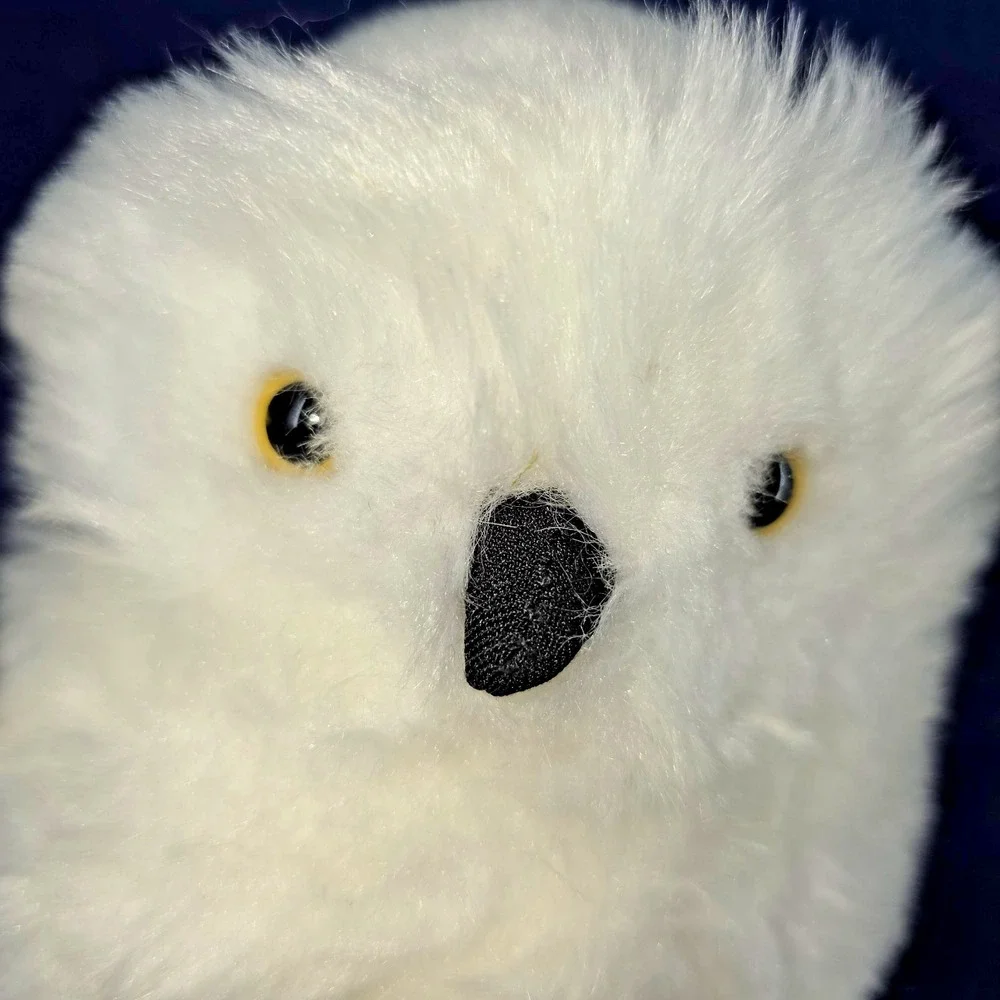 Harry Potter's Pet White Owl Hedwig 10